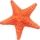 Estrela-do-Mar