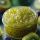 Kiwi Jam