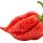 Ghost Pepper