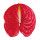 Flamingo flower (Anthurium)