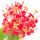 Flor de Ashoka