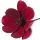 Flor de Chocolate