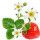 Flor de Morango