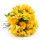 Flores Amarelas