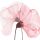 Flores Transparentes