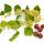Jujube Blossom