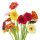 Notas Florais