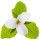Trillium