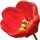 Tulipa