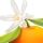 Flor de Mandarina