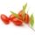Bagas de Goji