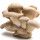 Champignon