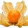 Goldenberry