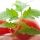 Tomate