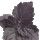 Patchouli Negro