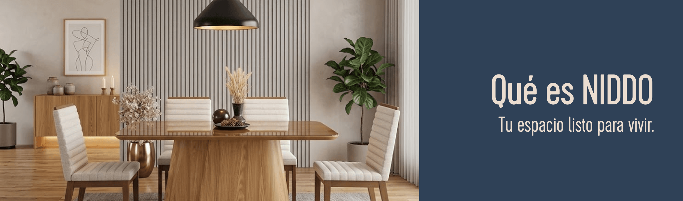 banner Ppal desktop
