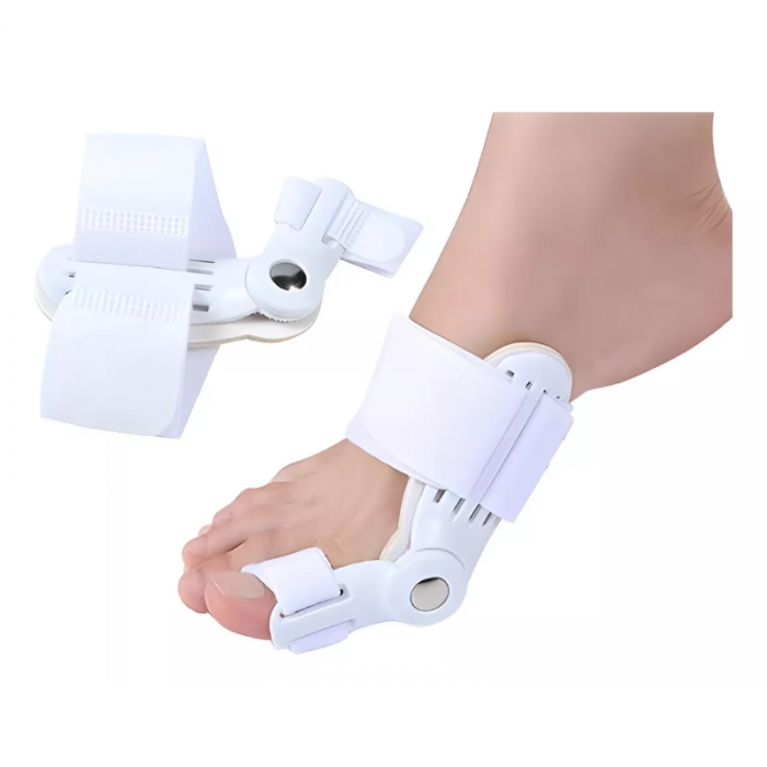 F&eacute;rula Articulada