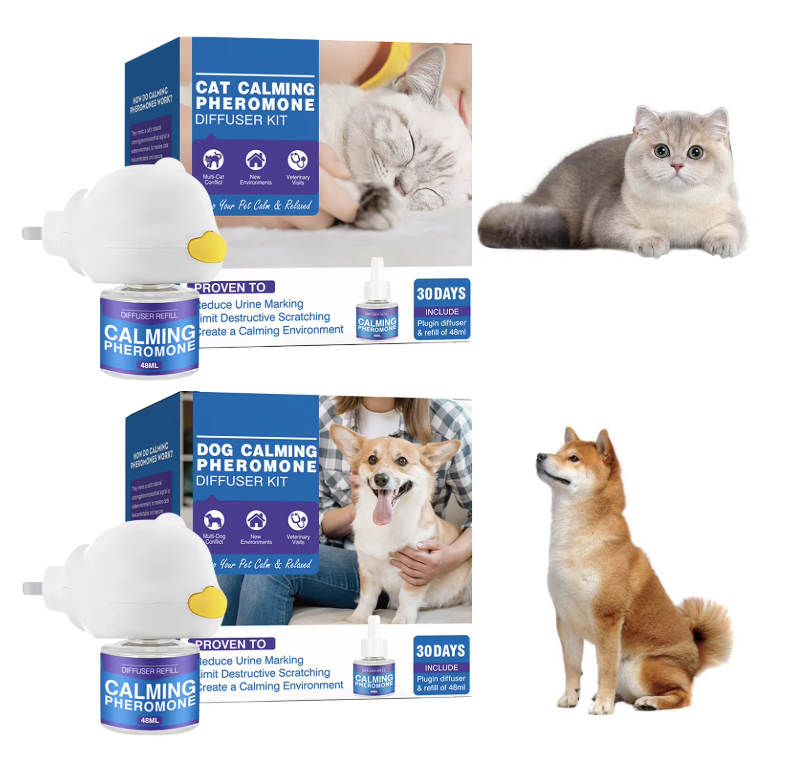 Pet em adaptação