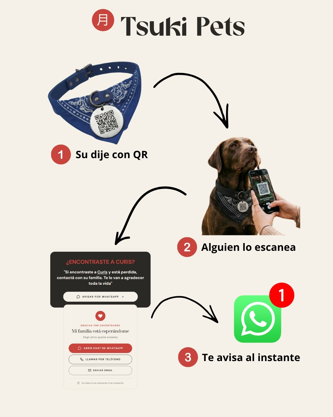 C&oacute;mo funciona el dije QR de Tsuki Pets: su dije con QR, alguien lo escanea, te avisa al instante por WhatsApp