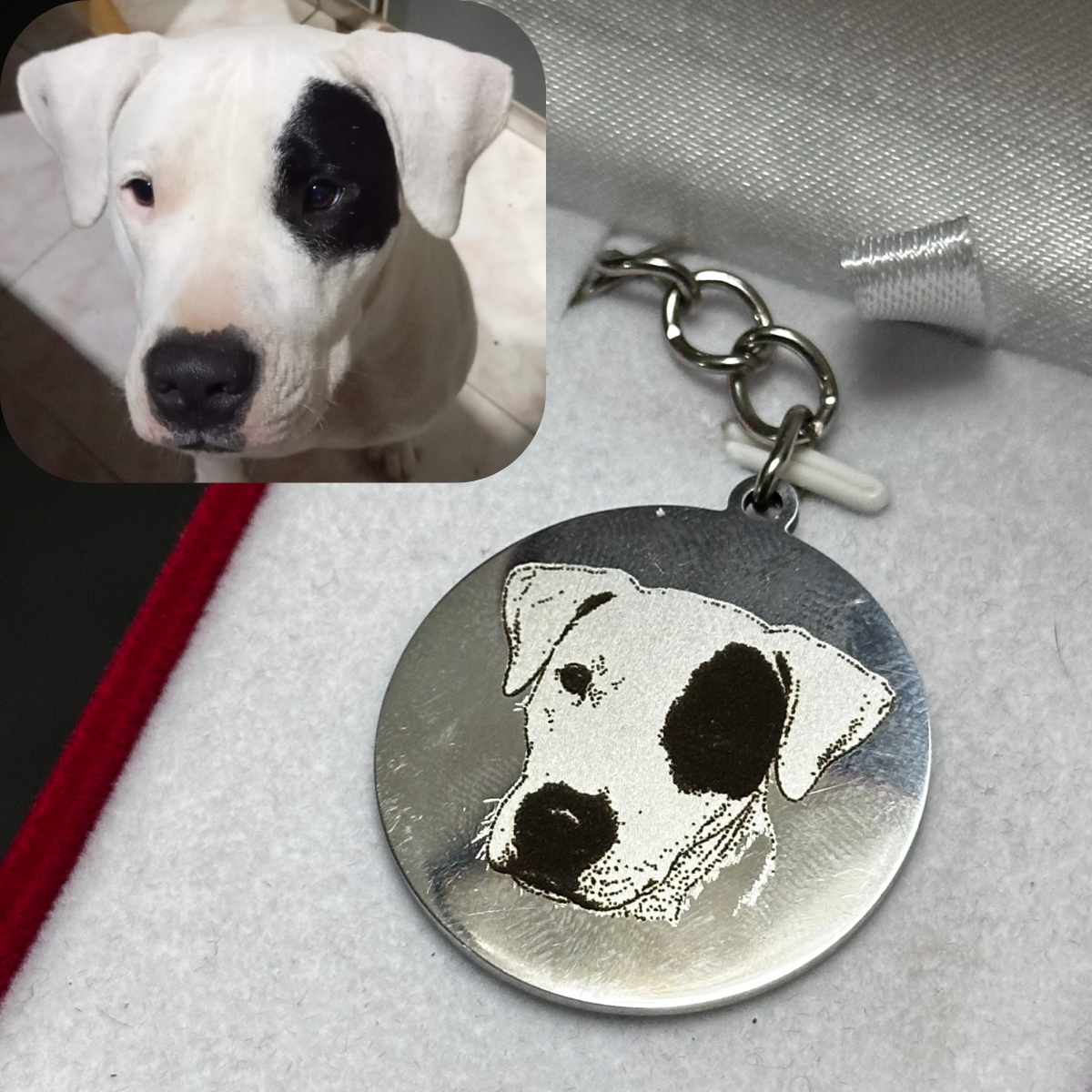 Foto real de un perro convertida en retrato grabado a l&aacute;ser en el dije de acero de Tsuki Pets