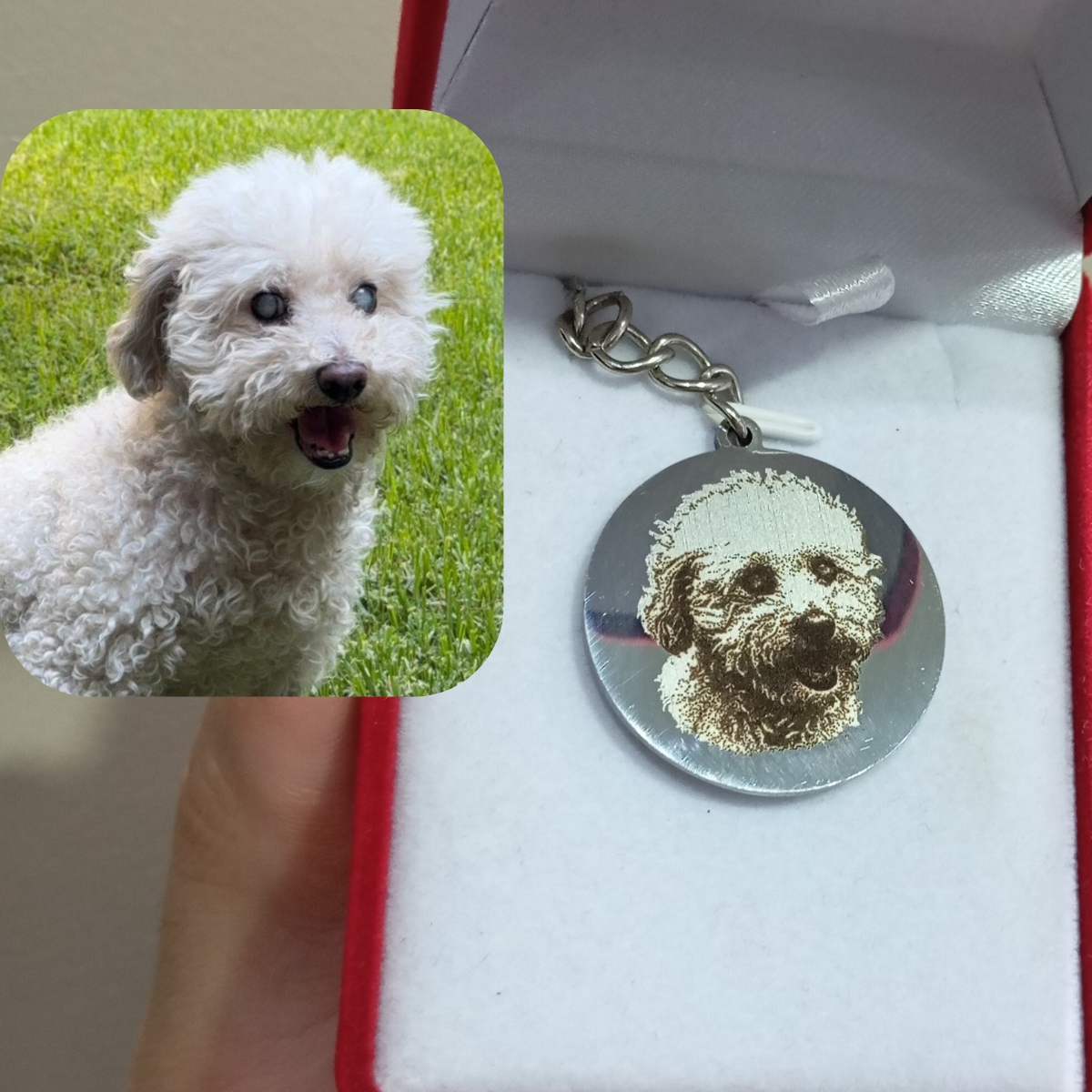 Dije de acero de Tsuki Pets con el retrato de la mascota grabado, presentado en su cajita