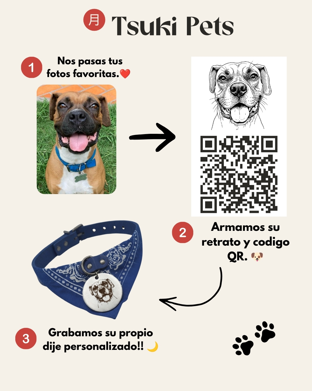 C&oacute;mo trabajamos en Tsuki Pets: nos pas&aacute;s tus fotos, armamos su retrato y c&oacute;digo QR, grabamos su dije personalizado
