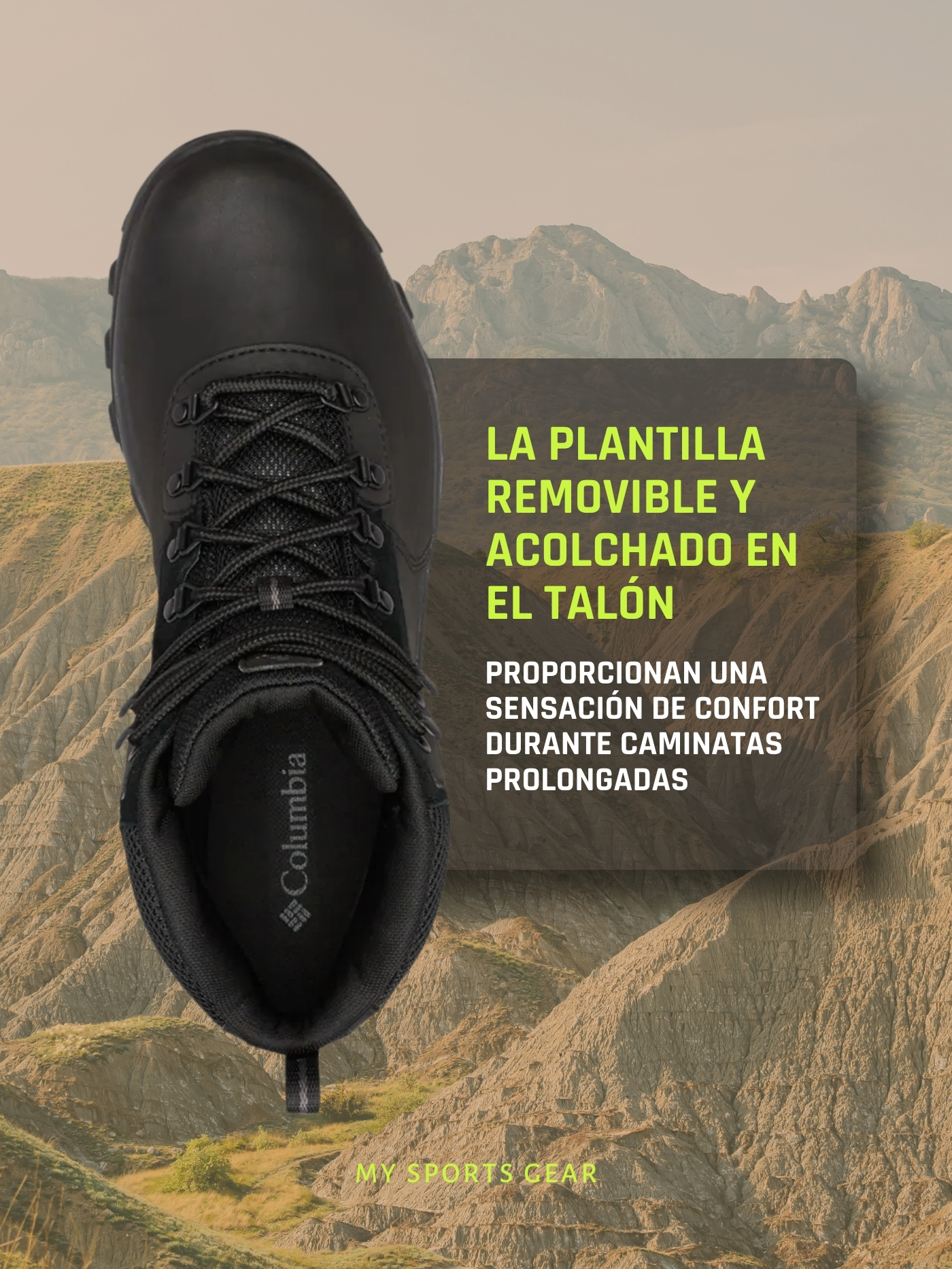 Newton Ridge Detalle
