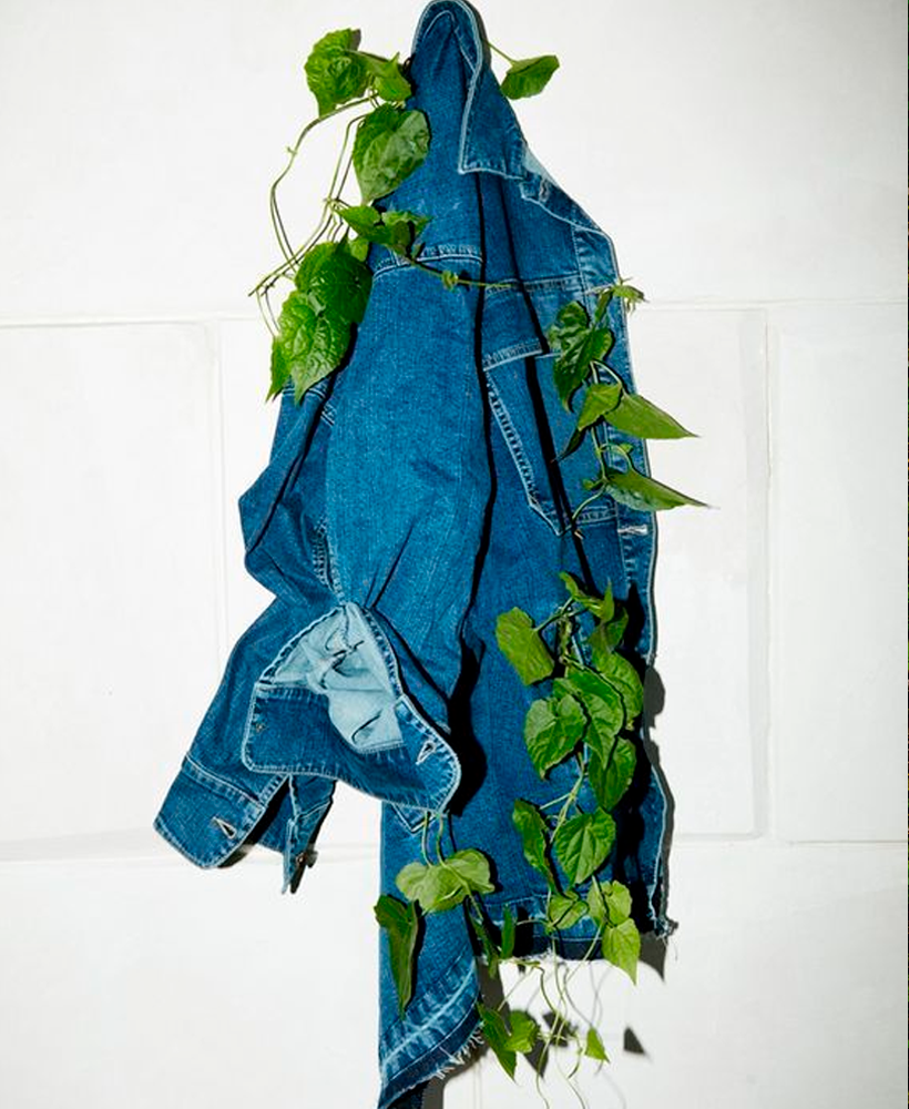 Denim jacket wrapped in climbing vines