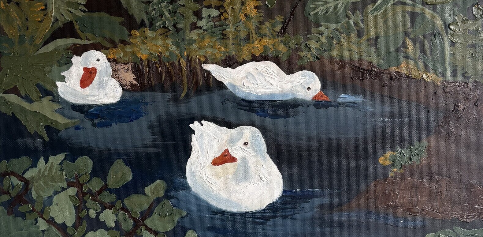 Los Cisnes