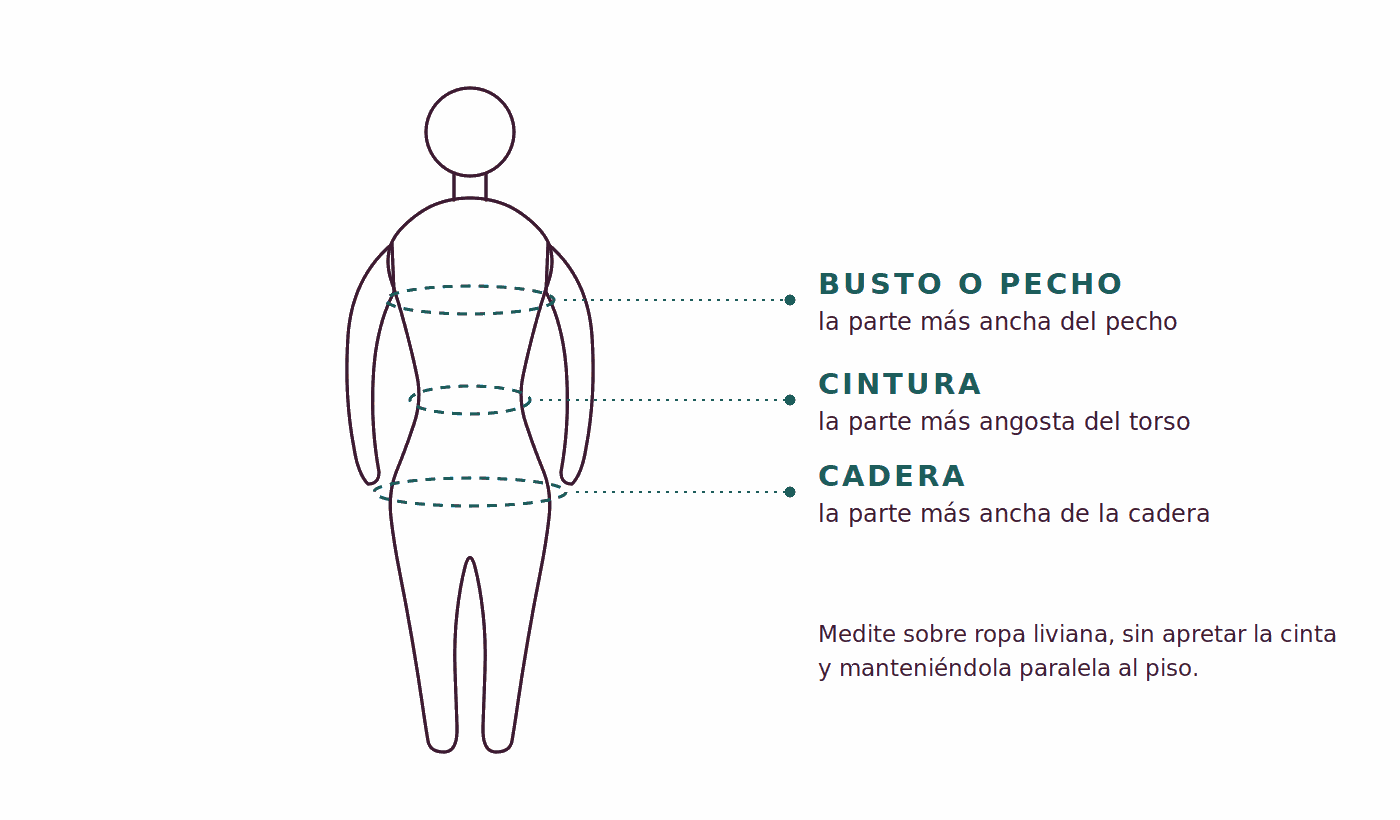 Diagrama de dónde medir busto, cintura y cadera