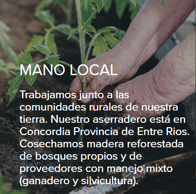 Producto de madera Raíz
