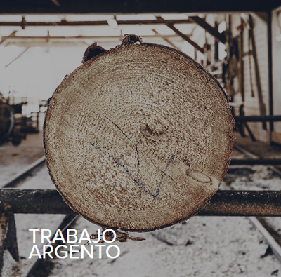 Producto de madera Raíz