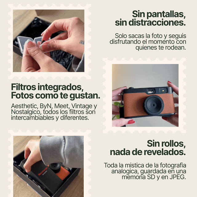 Experiencia Meet Animada