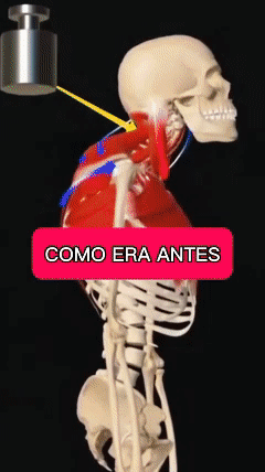 💬 Deslize o GIF e veja a diferença entre “antes e depois” Seu corpo vai agradecer.