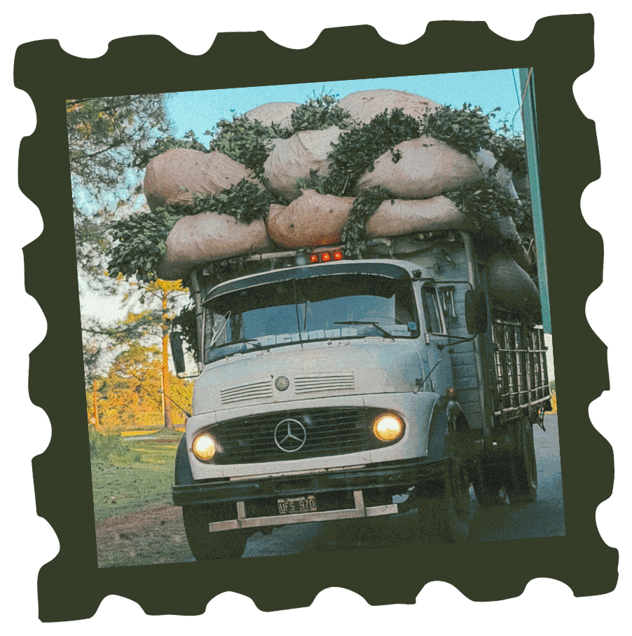 Camion cargado con bolsas de yerba