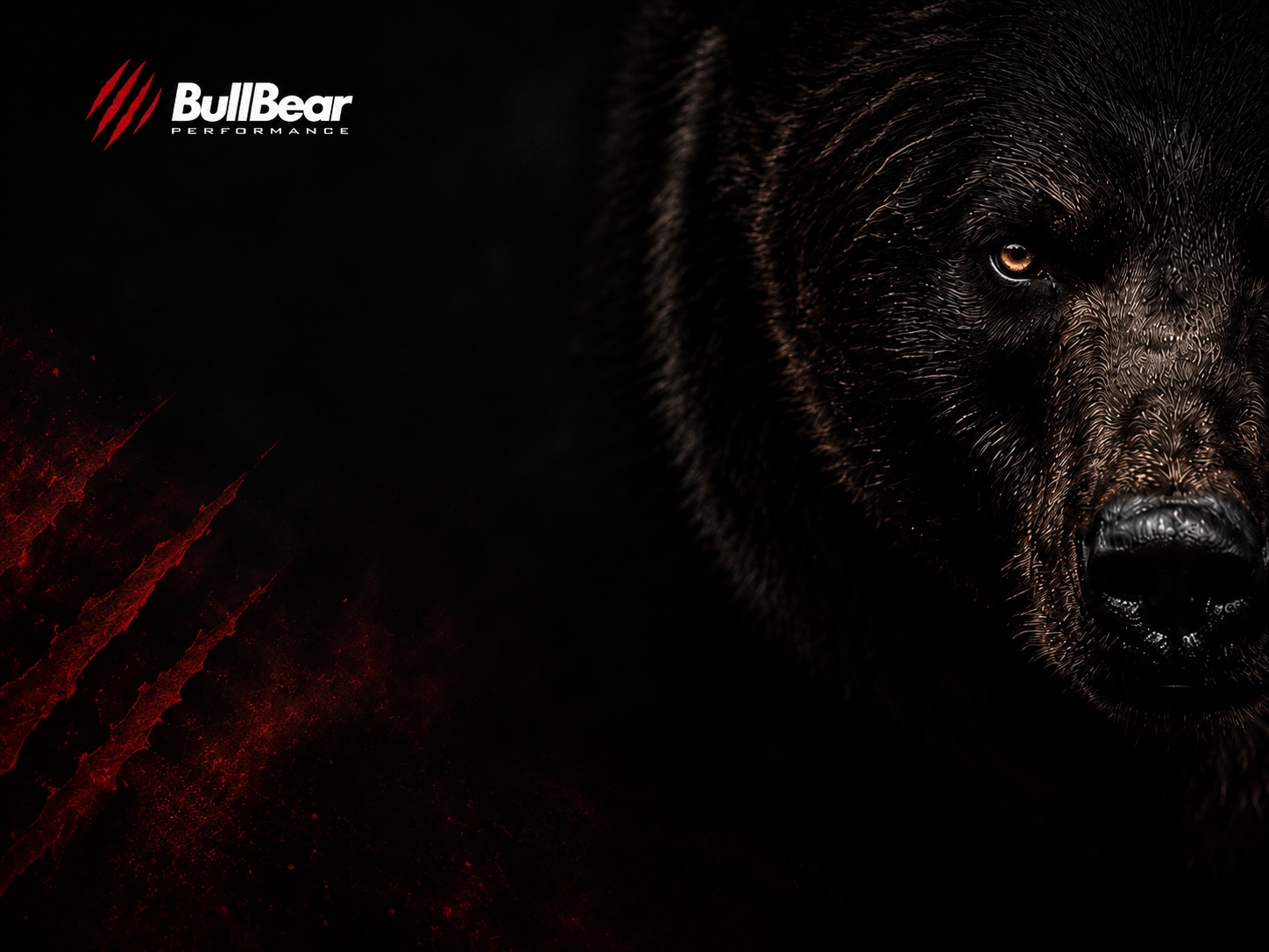BullBear Performance - Para quem tem garra no sangue