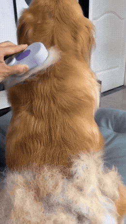 Escova a Vapor PetCare