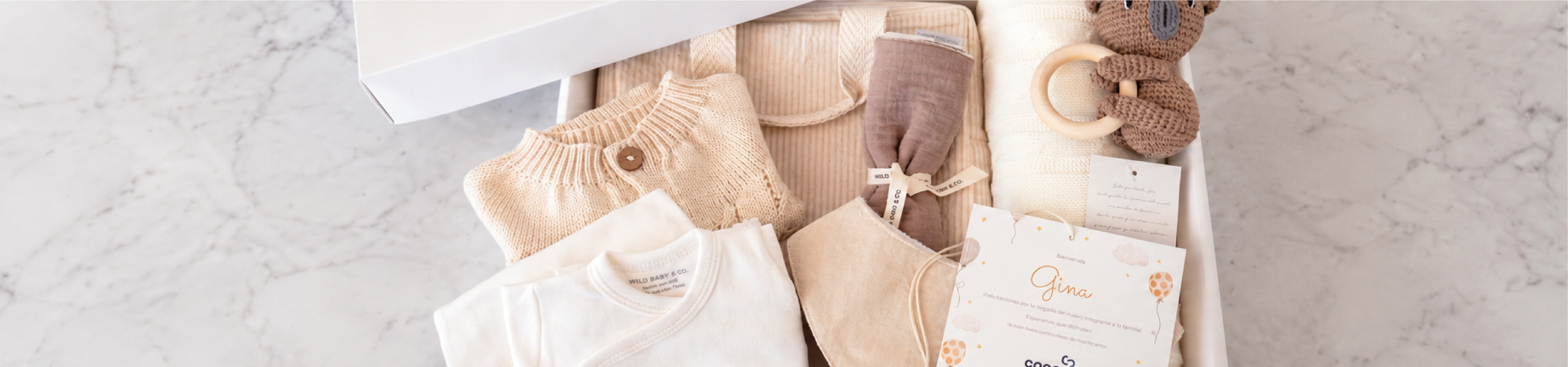 Regalos de nacimiento corporativos de Wild Baby & Co.