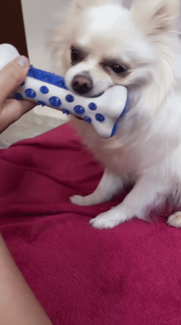 MordeZen mordedor inteligente para cachorro