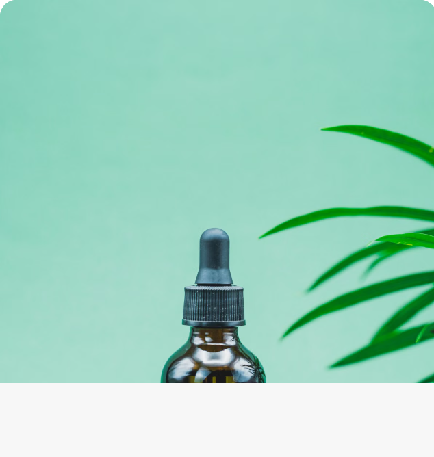 Aceite de &aacute;rbol de t&eacute;