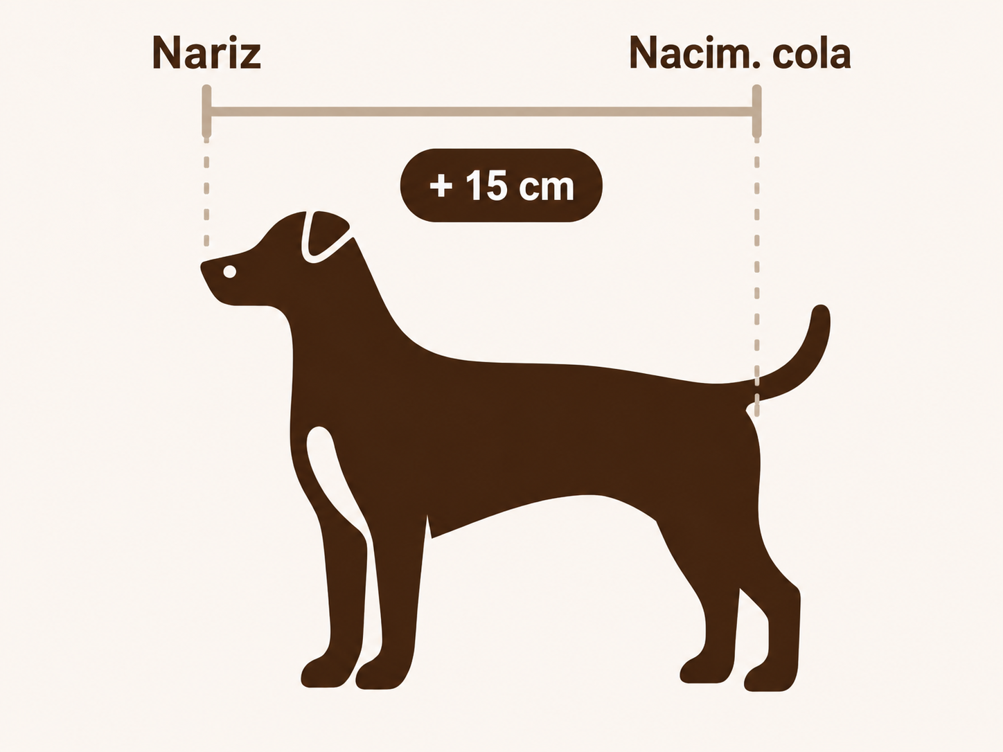 Cómo medir a tu mascota - SÁNTARO