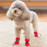 Botinhas Antiderrapantes PetStep
