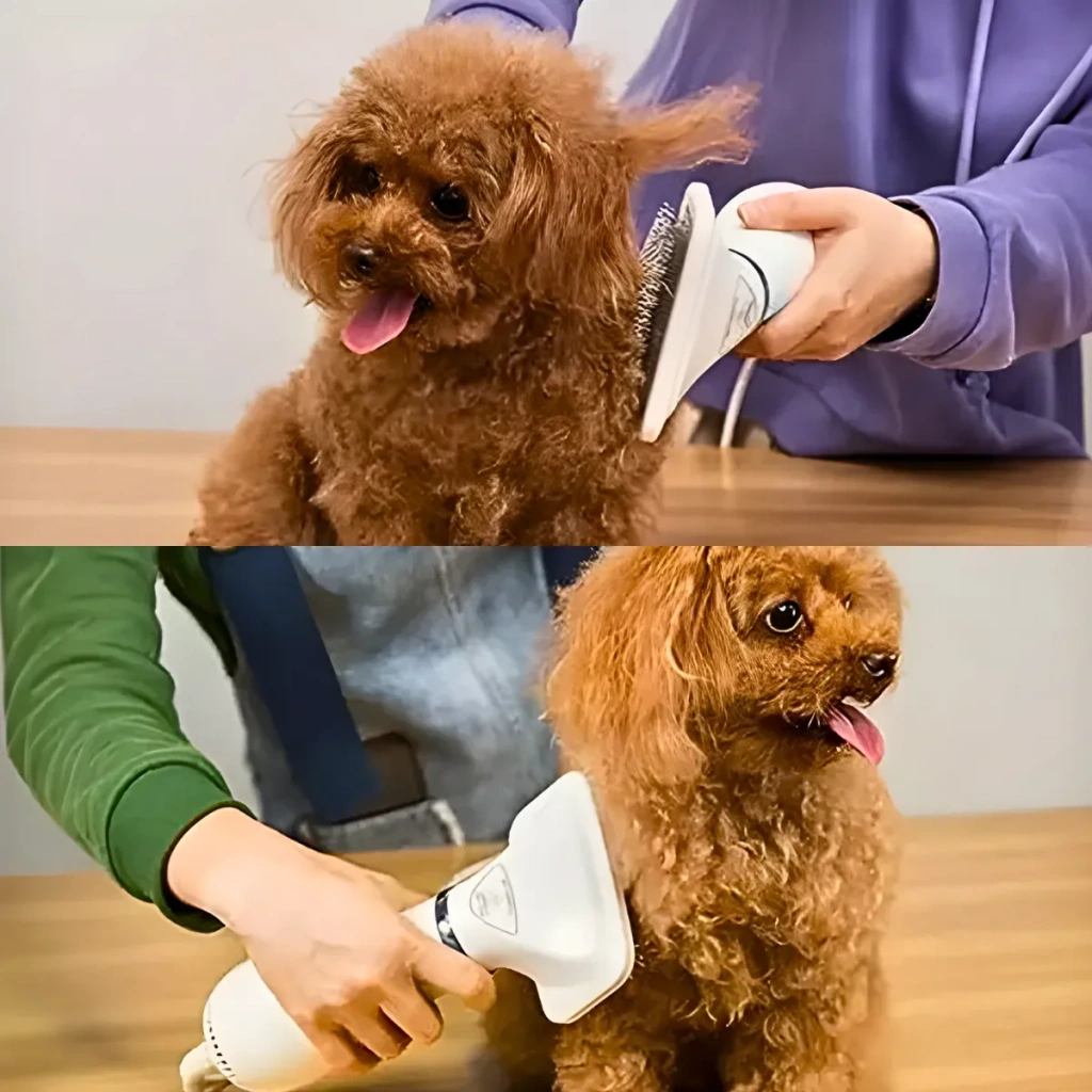 Secador Pet 3 em 1 AirGroom