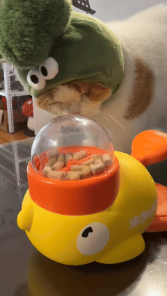 Patinho Interativo Petoca para c&atilde;es e gatos