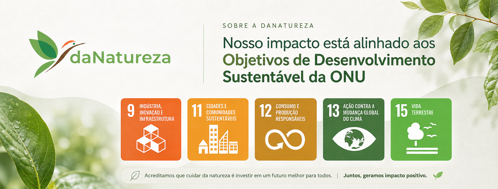 ODSs e Impacto Sustentável daNatureza