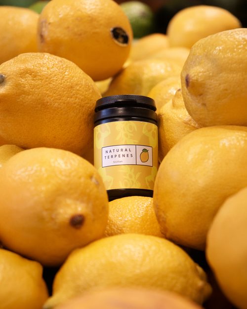Seleção manual de ingredientes naturais para produção de terpenos