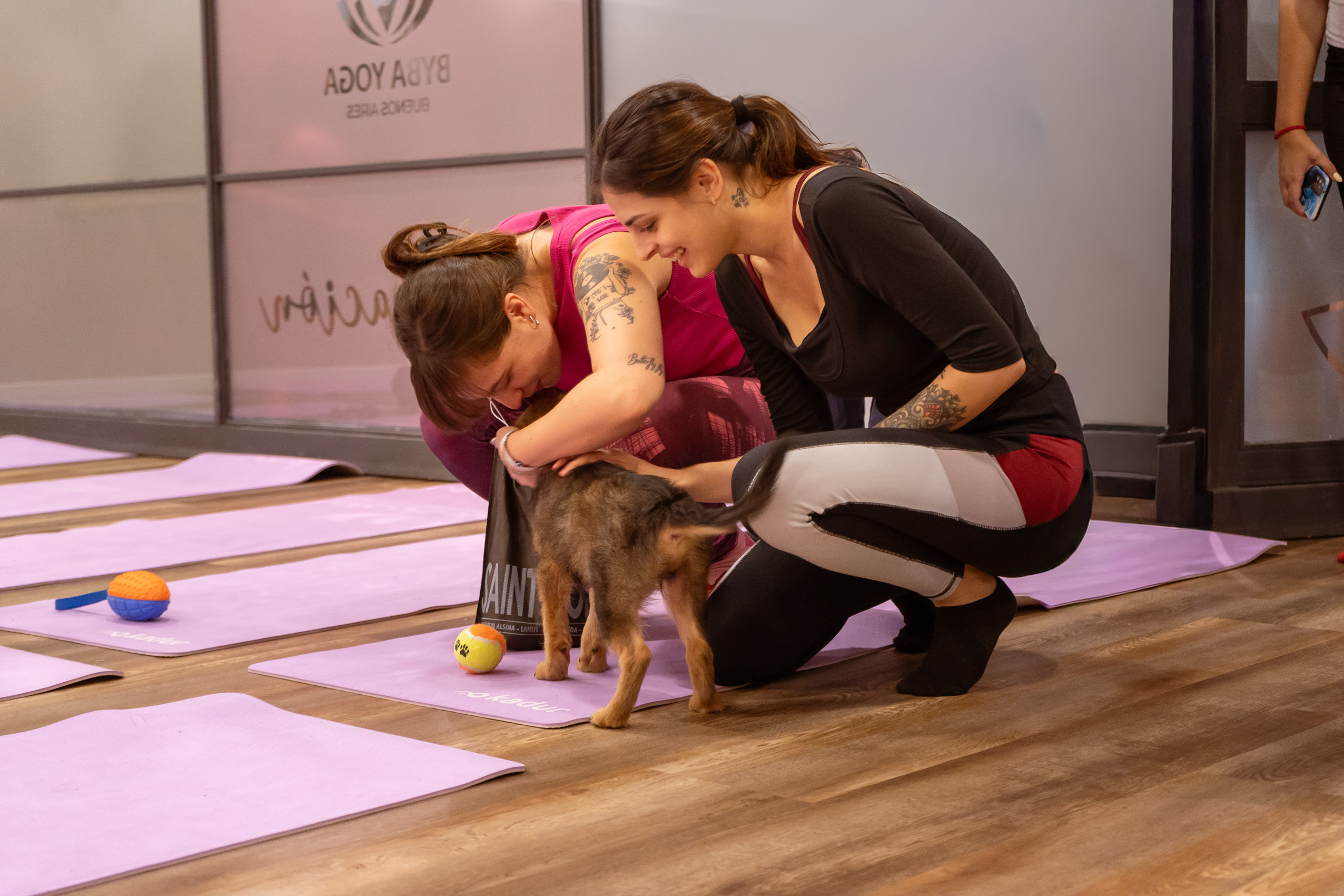 Yoga y Patitas - clase con perritos