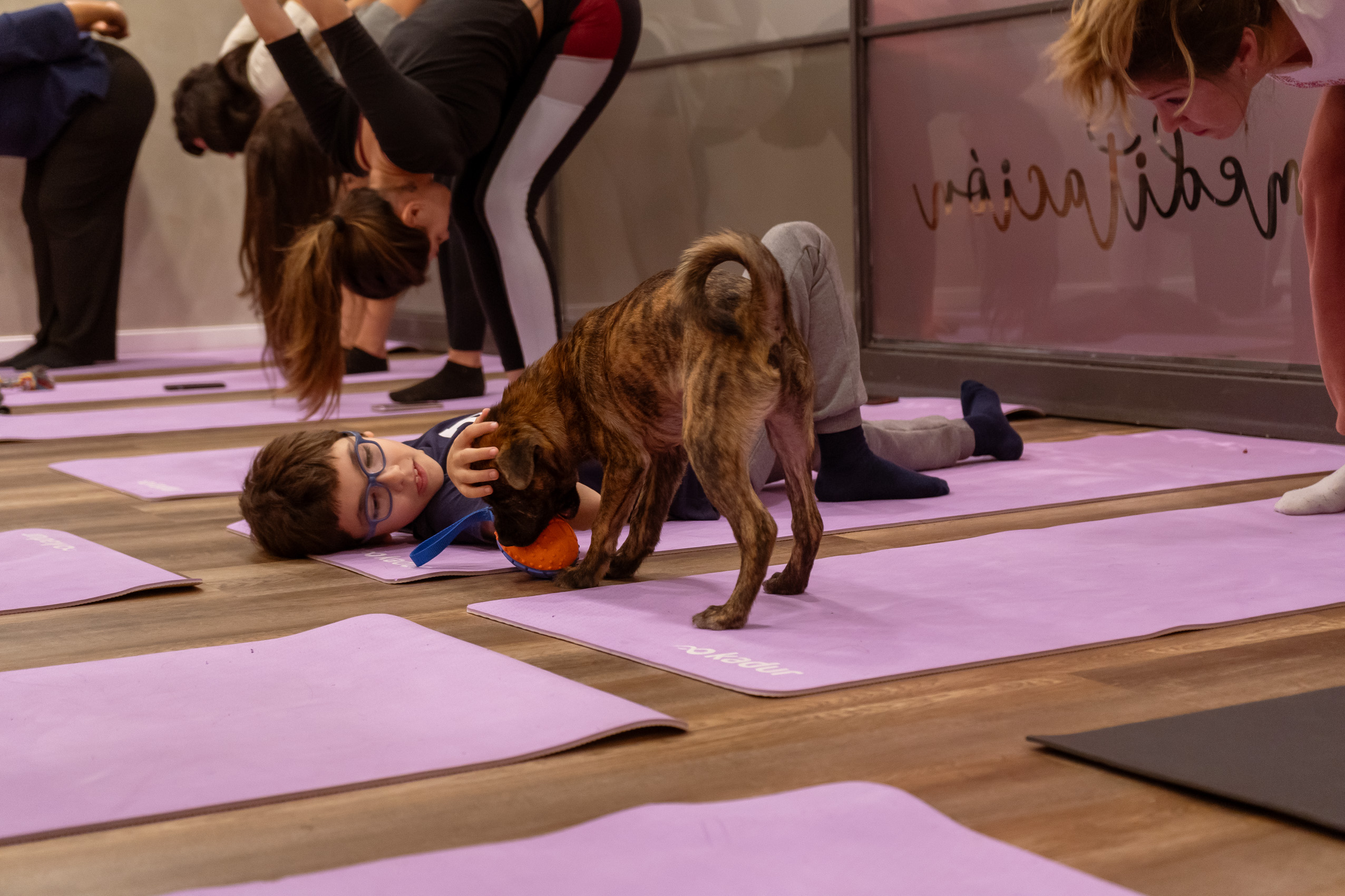 Yoga y Patitas - mimos