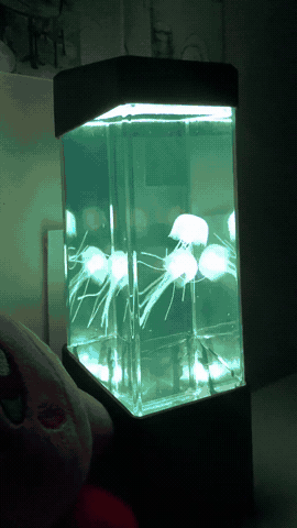 Lámpara de medusas encendida