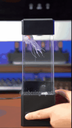 Lámpara de medusas en uso
